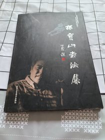 孙宝山书法集