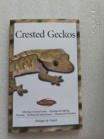 现货 Crested Geckos 英文原版 凤头壁虎 蜥蜴学 养殖 野生爬行动物和两栖动物学