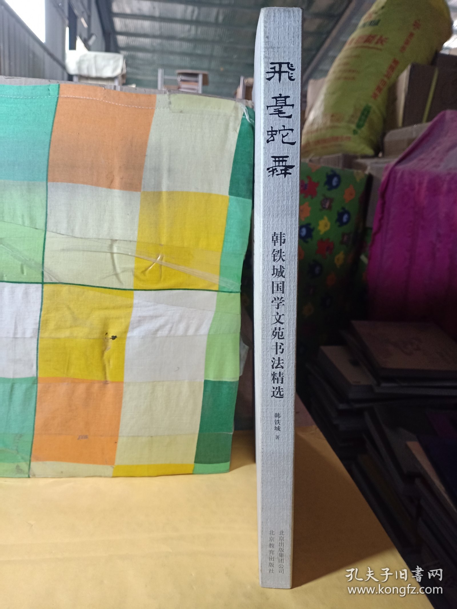 飞毫蛇舞 : 韩铁城国学文苑书法精选