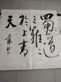 中国书法家协会会员《王伟》书法作品一幅，尺寸68×68，B696
