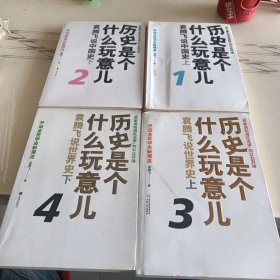 历史是个什么玩意儿4：袁腾飞说世界史 下