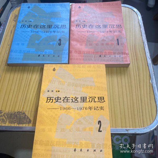 历史在这里沉思（全三卷）