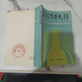 农村改革先锋