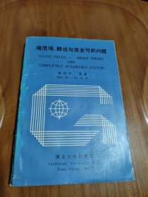 规范场、群论与完全可积问题