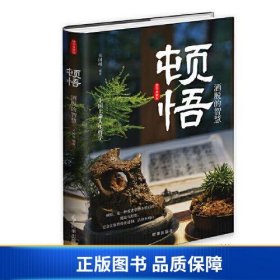 顿悟：洒脱的智慧