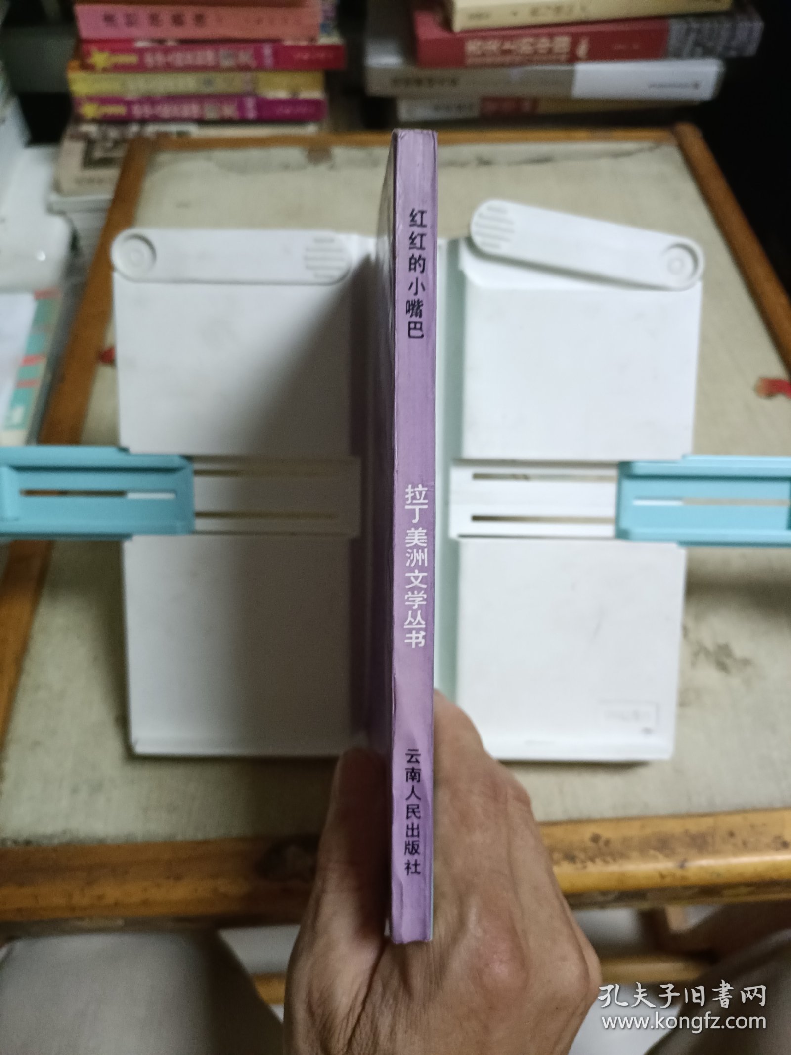 红红的小嘴巴 拉丁美洲文学丛书