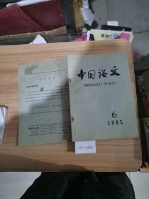 中国语文1965年第6期