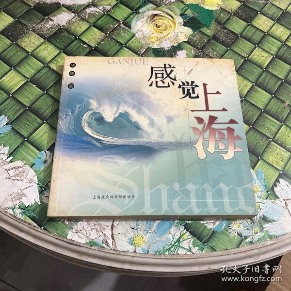 感觉上海 正版无笔迹