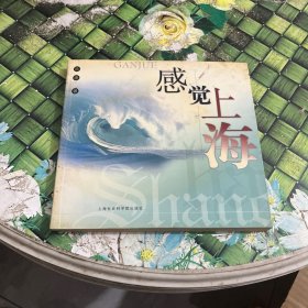 感觉上海 正版无笔迹