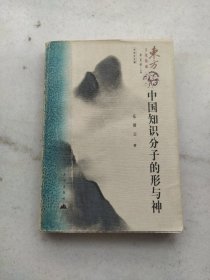 中国知识分子的形与神：东方文化集成 中华文化编