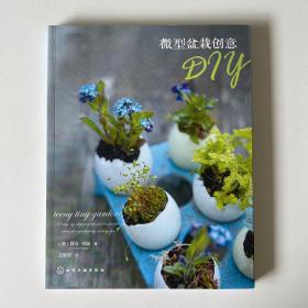 微型盆栽创意DIY （品相看图自定）