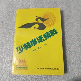 少林拳法精粹