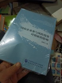 国有企业参与风险投资对创新的影响 施国平 著