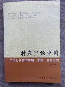 村庄里的中国：一个华北乡村的婚姻、家庭、生育与性