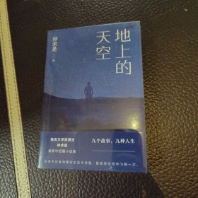 地上的天空（鲁迅文学奖得主钟求是最新中短篇小说集，人生九故事，程永新、徐则臣、班宇推荐）