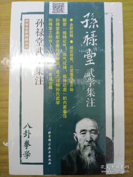 孙禄堂武学集注