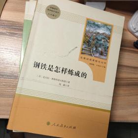 朝花夕拾  海底两万里   骆驼祥子   西游记 上下 水浒传  上下  艾青诗选   钢铁是怎样炼成的 名著导练，红星照耀中国 ，共11本合售，书品佳详见图