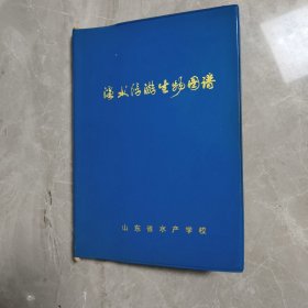 淡水浮游生物图谱