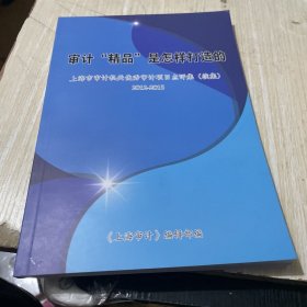 审计精品是怎样打造的—上海市审计机关优秀审计项目点评李（续集）2012-2015