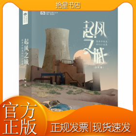 起风之城：张冉中短篇科幻小说集