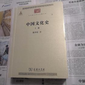 中国文化史（上下册）  陈登原著  中华现代学术名著丛书