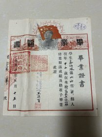 1951年陕西省立西安师范学校附属小学秦炳琳毕业证书