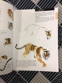 千姿百态画观音、千姿百态画老虎