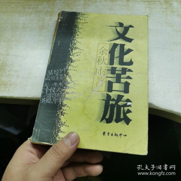 文化苦旅