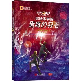 猎鹰的羽毛 儿童文学 (美)特鲁迪·特鲁伊特