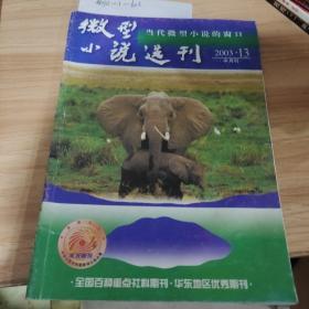 微型小说选刊2003。