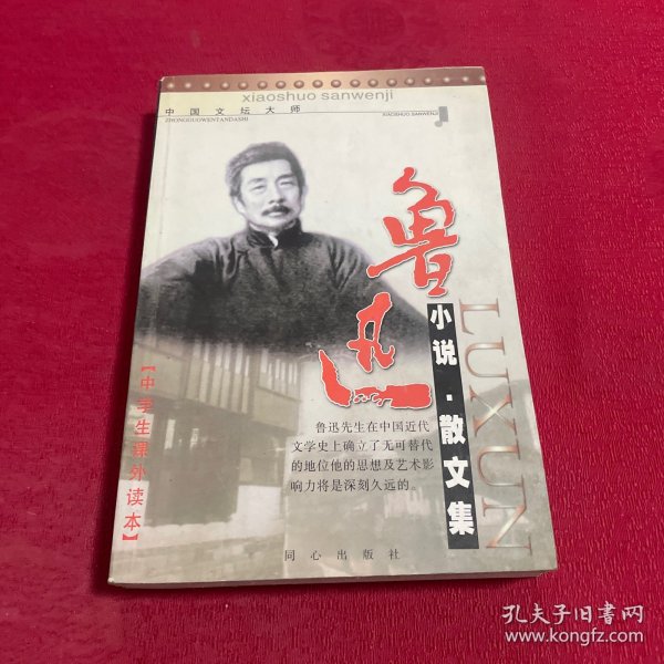 鲁迅作品选：小说·散文集 论文·杂文集