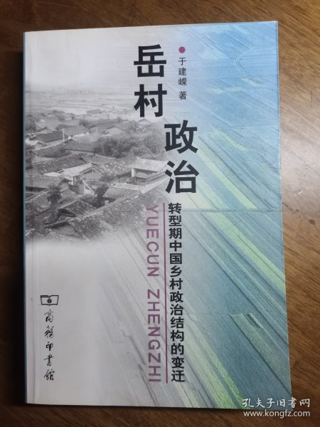 岳村政治：转型期中国乡村政治结构的变迁