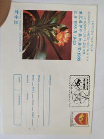 邮资封:1988第五届罗中集邮展览
长春（君子兰)纪念封