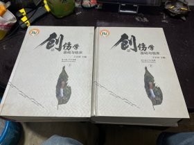 创伤学基础与临床（上下册）