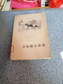 中短篇小说选