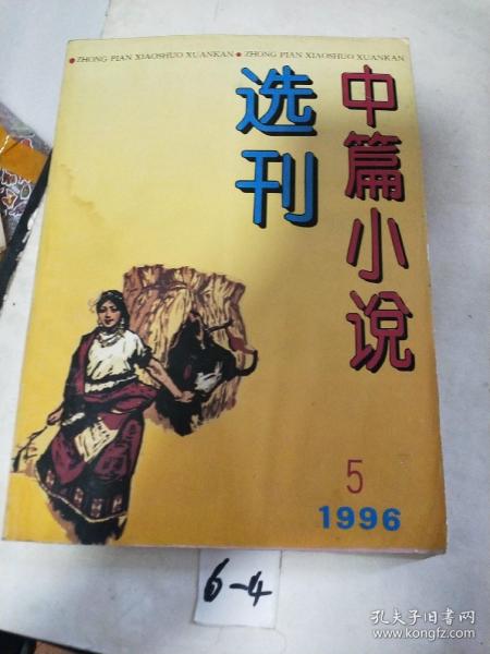 中篇小说选刊1996/5