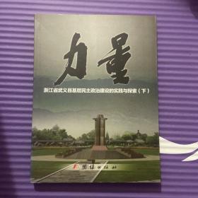 力量 : 浙江省武义县基层民主政治建设的实践与探
索. 下