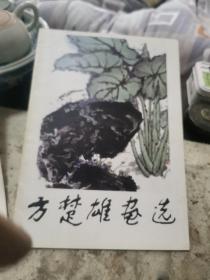 方楚雄画选