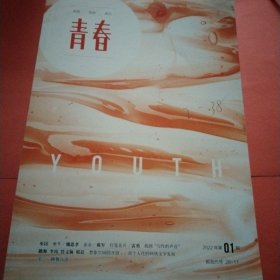 青春 文学月刊【2022年第1－12期】全年