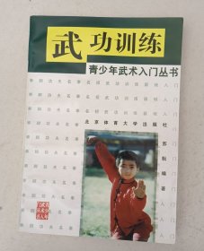 青少年武术入门丛书 全四册