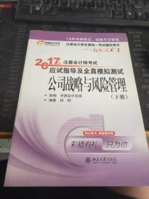 东奥会计在线 轻松过关1 2017年注册会计师考试教材辅导 应试指导及全真模拟测试：公司战略与风