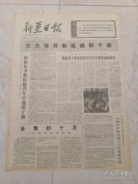 新疆日报1973年10月30日喀什市各级党组织认真学习提高认识，积极从少数民族青年中选拔干部。巴楚县毛拉公社党委，选拔贫下中农优秀分子充实基层领导班子。金色的十月一一昔阳县秋收见闻。东风劲吹烈火旺一一博乐县农村牧区批林整风见闻。