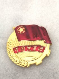 中国共青团，