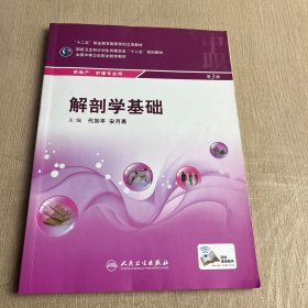 解剖学基础