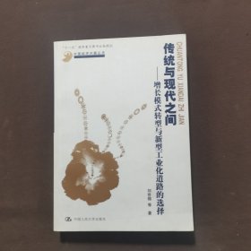 传统与现代之间：增长模式转型与新型工业化道路的选择