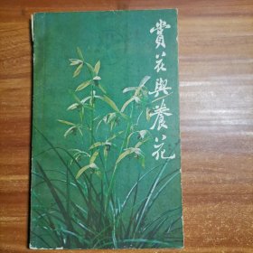 赏花与养花a16-3