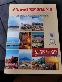 八闽党旗红 福建省基层党建工作巡礼