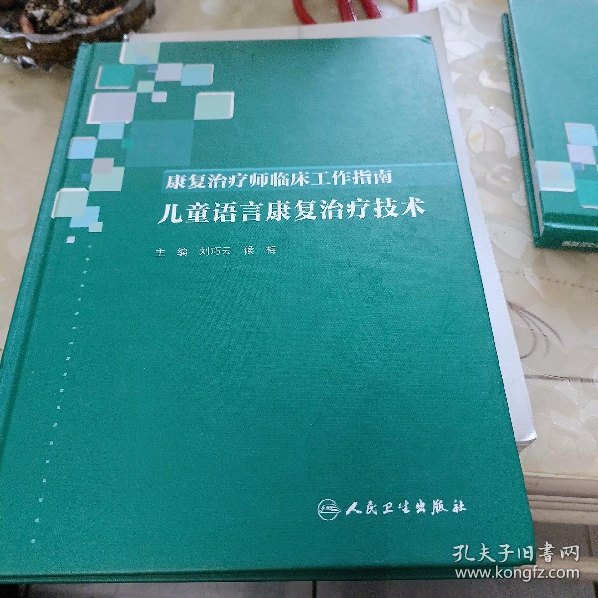 康复治疗师临床工作指南·儿童语言康复治疗技术