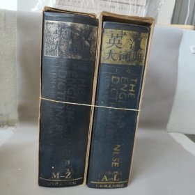 英汉大词典（上下）2册