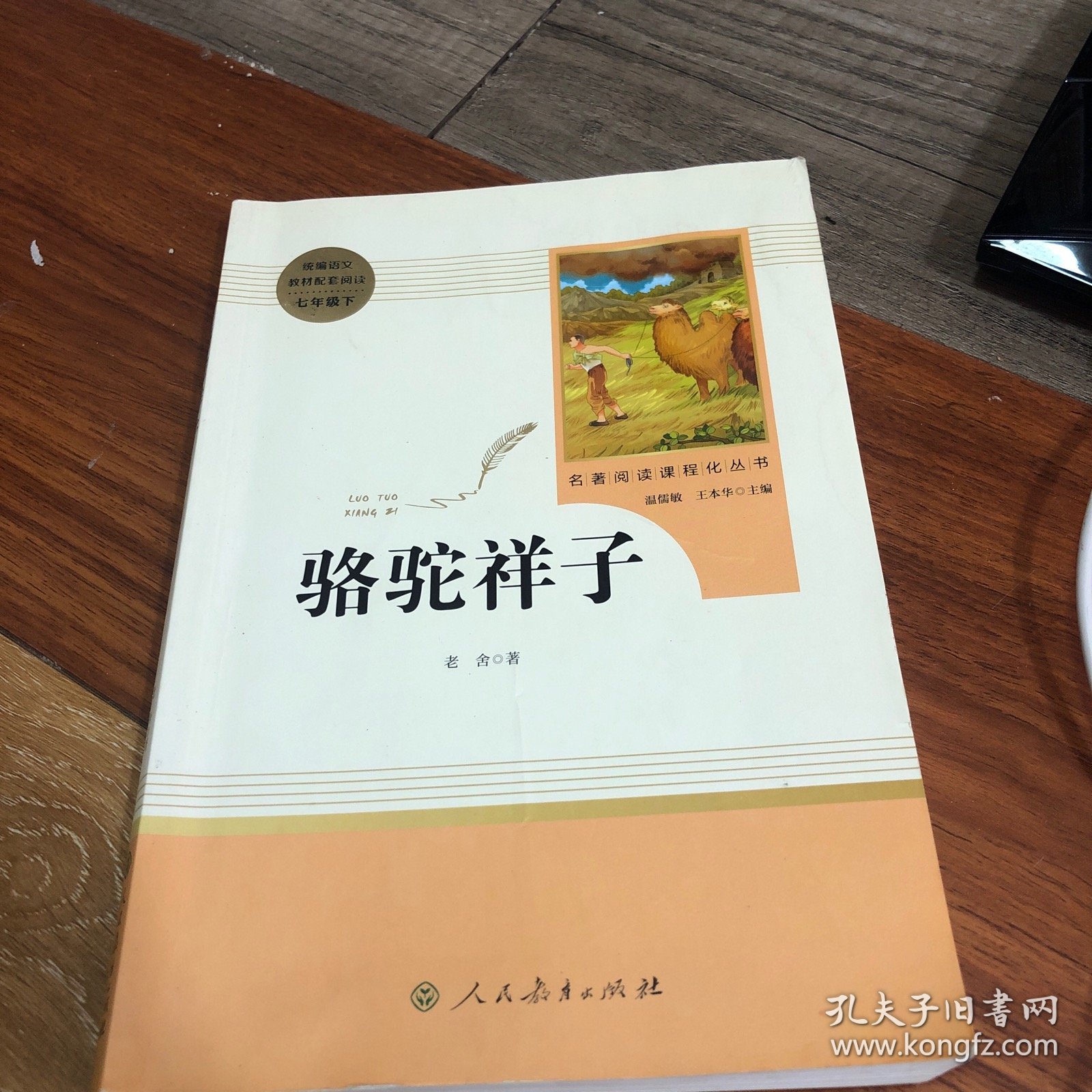 中小学新版教材（部编版）配套课外阅读 名著阅读课程化丛书 骆驼祥子